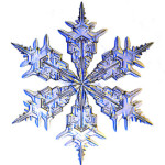 Snowflake_300h